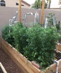 Xtreme Gardening HGC721205 Mykos Pure Mycorrhizal Inoculant Organic Root Enhancer, 2.2 lbs, Black 2.2 lbs. 38 81gXxaVwyPL