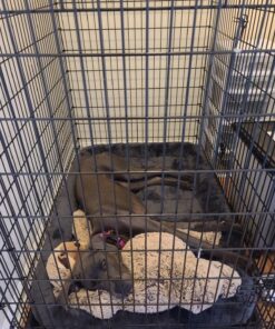 MidWest Homes for Pets 54L-Inch Gray Dog Bed or Cat Bed w/ Comfortable Bolster | Ideal for Giant Dog Breeds (Great Dane / Mastiff) & Fits a 54-Inch Dog Crate Grey 32 81gYRpva5mL