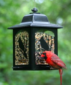 Perky-Pet 363 Birds and Berries Lantern Feeder 8.20 x 8.20 x 10.75 inches 15 81gbOuG9jAL