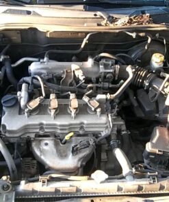 Gunk CEB1 Engine Shine Protector and Detailer, 15 Oz 15 Ounce 32 81gcuJcx9cL