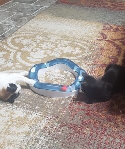 Catit Design Senses Speed Circuit 21 81gd5WjA9L