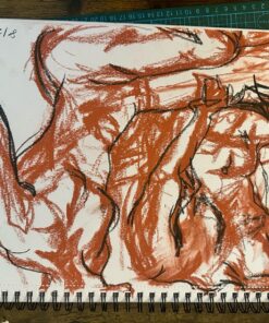 Amazon Basics Sketch and Drawing Art Pencil Kit, 17 Piece Set, Charcoal, Black, White 26 81gefHH3ptL