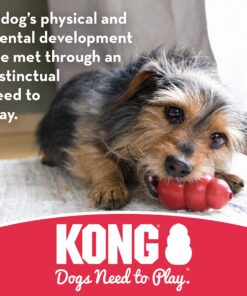 KONG Tires - Durable Dog Chew Toy - Durable Rubber Dog Toy & Treat Dispenser for Power Chewers - Tough Chew Toy for Fetch - Rubber Tire Chew Toy - Medium/Large Dogs Standard Packaging 25 81gfo2IjR2S 2