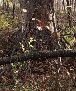 GhostBlind 4-Panel Predator Blind, Silver 36 81ggTJwZXNL