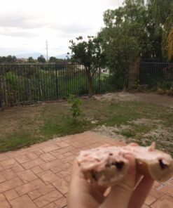 Scotts Turf Builder Lawn Food - Fertilizer for All Grass Types, 5,000 sq. ft., 12.5 lbs. 5,000 sq. ft. 61 81gj8rVO5cL