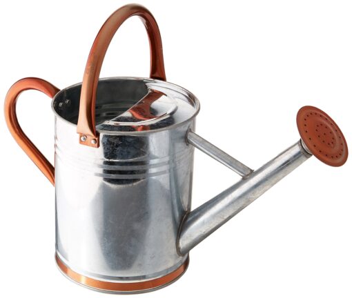 Gardman 8326 Galvanized Steel Watering Can with Copper Accents, 1-Gallon