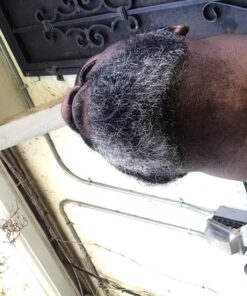 Aberlite FlexShaper - Beard Shaper Neckline Guide - Hands-Free & Flexible, The Ultimate Shaping Template, Trimmer, Lineup Stencil Kit beard liner tool outliner (White) White 37 81go6hsRiJL