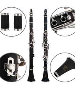 Glory GLY-PBK Professional Ebonite Bb Clarinet with 10 Reeds, Stand, Hard Case, Cleaning Cloth, Cork Grease, Mouthpiece Brush and Pad Brush, Black Black/Silver 20 81gosYXtkWL