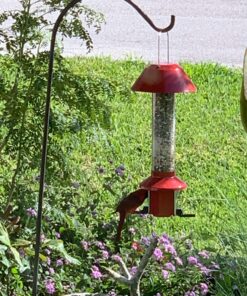 Roamwild PestOff Red Squirrel Proof Cardinal Bird Feeder Mixed Seed Sunflower Heart Version - RED - 3LBS Seed Capacity – 20.5”x7.5”x7.5” (w/Hanger) 27 81gu0 8aCVL