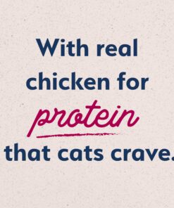 Natural Balance Original Ultra Chicken Meal & Salmon Meal Cat Food Whole Body Health Dry Food for Kittens to Adult Cats 15-lb. Bag Chicken Meal & Salmon Meal Formula 15 Pound (Pack of 1) 23 81h ApqoAvL