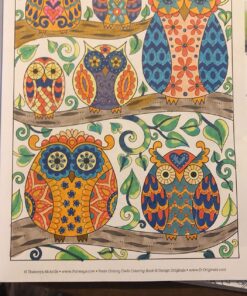 Groovy Owls Coloring Book (Coloring is Fun) (Design Originals) 32 Adorable Art Activities with Quiet, Stoic, Wise, and Happy Owls, plus Beginner-Friendly Advice, Techniques, Color Choices, & Examples Paperback, Coloring Book 53 81h fMq2ViL