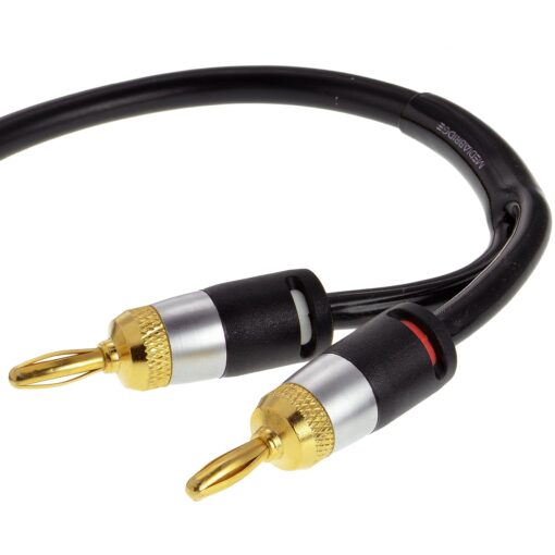 Mediabridge™ 16AWG Ultra Series Speaker Cable with Dual Gold Plated Banana Tips (6 Feet) - CL2 Rated - High Strand Count Copper (OFC) Construction - Black [New & Improved Version] (Part# SWT-06B) 6 Feet (Black)