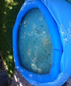 Intex 8ft X 30in Above-Ground Pool Easy Set Pool Set with Filter Pump 8 ft x 30 in 59 81h4BhmOknL