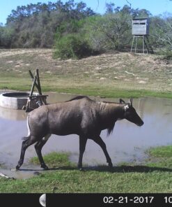 Alternative view of SanDisk 16GB Class 4 SDHC Flash Memory Card - 2 Pack SDSDB2L-016G-B35 Retail Package