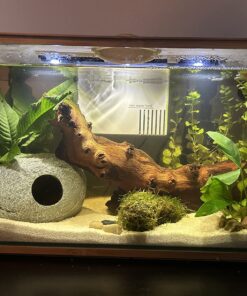 Seachem Indoor Purigen Organic Filtration Resin - Fresh and Saltwater 100 ml 42 81h5GQmvESL