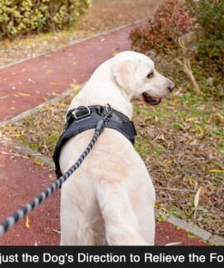 EXPAWLORER Upgraded No Pull Dog Harness with Leash Set - Adjustable Reflective Dog Vest Harness with 3 Drings, Easy Control Handle, Hook and Loop Panel, for Medium Large Dogs Black X-Large 19 81h6ut41DlL