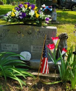 TONULAX Solar Garden Lights Outdoor - New Upgraded, Multi-Color Changing Lily Solar Lights for Patio,Yard Decoration, Bigger Flower and Wider Solar Panel (2 Pack,Purple and Red) 2 Pack 34 81h8LJ pqXL