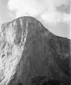 Alternative view of Kodak 857 2273 Professional 100 Tmax Black and White Negative Film 120 (ISO 100) 5 Roll Pack 1-Pack