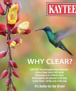 Kaytee Hummingbird ElectroNectar Wild Bird Food, Ready to Use, 64 Ounces 64 oz Ready To Use 23 81hDx3f0FwL