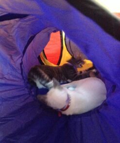 POCO DIVO 4-Way Tunnel Pop-up Fun Junction Set 8 Feet Toy Tent Kids Play Tube 36 81hHEBtzeiL