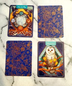 The Illustrated Herbiary: Guidance and Rituals from 36 Bewitching Botanicals (Wild Wisdom) Hardcover, Illustrated 63 81hI6z6X7aL 1