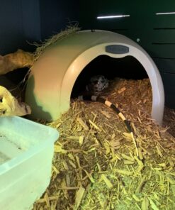 Petmate Booda Dome Cat Litter Box for Indoor Cats , Titanium, Made in USA One Size 51 81hIG7yb8IL