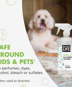 Better Life All Purpose Cleaner - Multipurpose Home and Kitchen Cleaning Spray for Glass, Countertops, Appliances, Upholstery & More - Multi-surface Spray Cleaner - 32oz (Pack of 2) Unscented Unscented 32 Ounce (Pack of 2) 22 81hIR3vnqZL 1
