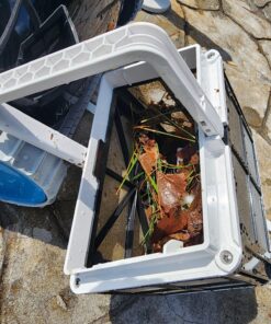 Dolphin Nautilus CC Robotic Pool Vacuum Cleaner — Wall Climbing Capability — Powerful Active Scrubbing Brush — Ideal for Above/In-Ground Pools up to 33 FT in Length 53 81hIzfMYx L