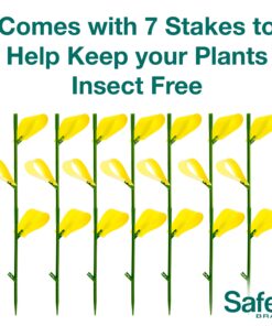 Safer Brand 5026 Houseplant Sticky Stake Insect Traps for Indoor Plants - Controls Fungus Gnats, Whiteflies, Midges, Thrips, Fruit Flies, and Black Flies - 1 Pack, 7 Traps 23 81hJVfRtIWL