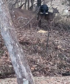 Moultrie Feed Station, Choose Model Feed Station II 41 81hJyPsTrUL