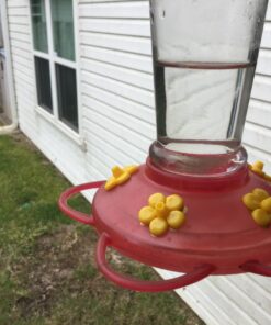 Perky Pet 202FB 9 Piece Yellow Hummingbird Feeder Replacement Flowers 13 81hPNj1w88L