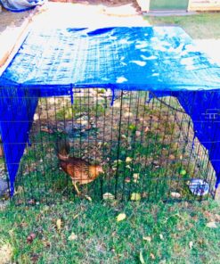 Grizzly Tarps by B-Air 8' x 10' Large Multi-Purpose Waterproof Heavy Duty Poly Tarp with Grommets Every 36", 8x8 Weave, 5 Mil Thick, for Home, Boats, Cars, Camping, Protective Cover, Blue 8' x 10' 54 81hQ8S7XUAL