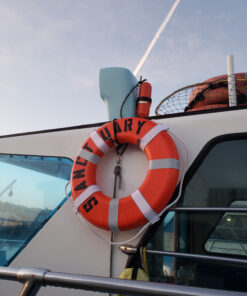 Cal June Approved Ring Buoy 24" Orange 3 81hQLlqQ98L