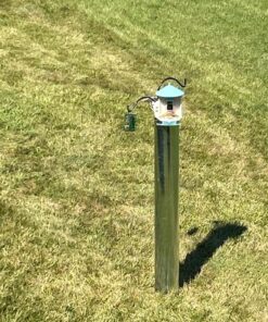 NETVUE Birdfy Lite - Smart Bird Feeder with Camera Solar Powered, Bird Watching Camera Wireless, Auto Capture Bird Videos & Motion Detection, Ideal Gift for Christmas Blue 43 81hSufvZd4L