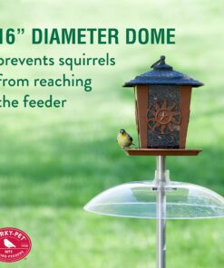 Perky-Pet 340 Transparent 16-Inch Squirrel Baffler 24 81hT6nEBDnL