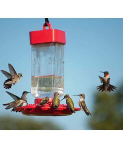 Kaytee Hummingbird ElectroNectar Wild Bird Food, Ready to Use, 64 Ounces 64 oz Ready To Use 26 81hU7U11OQL
