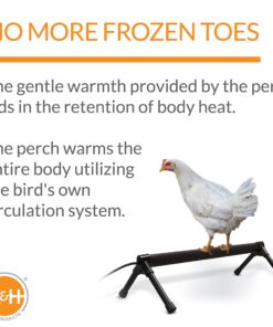 K&H Pet Products Thermo-Chicken Heated Perch Gray 36" 55W 11 81hUFqKsYpS 1