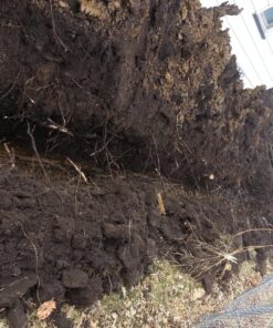 Sewer Jetter Kit 1/4" NPT x 100' Hose & 5.5 Orifice Button Nose Nozzle 4000 PSI 16 81hXkjihHqL