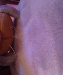 GUND Pusheen Snackable Cookie Plush Stuffed Animal, 9.5" 20 81hXotdqRnL