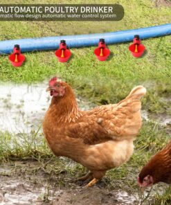 sansheng 24Pack Chicken Waterer Cups,Poultry Water Cups,Automatic Poultry Waterer for DIY Poultry Quail Duck Chicken Bird Drinker 24 29 81hZKun8X7L