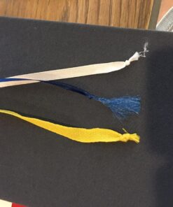 BestSelf Self Journal 13-Week Productivity Journal with Prompts, Undated Planner and Guided Journal for Women and Men, Navy 1 Pack 30 81hi6tMLyOL