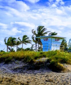 Sony 55mm F1.8 Sonnar T FE ZA Full Frame Prime Lens - Fixed Base 60 81hiDtU12QL