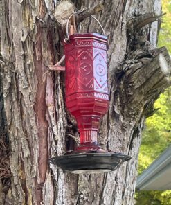 More Birds Red Jewel Hummingbird Feeder, Glass Hummingbird Feeders for Outdoors, 5 Feeding Stations, 20 Ounces Standard Packaging 30 81hjJdVCioL