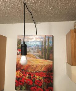 Edison 1-Light Plug-in Pendant, Matte Black, Black Woven Fabric Cord, in-Line On/Off Switch,65114 28 81hmWw6pMtL