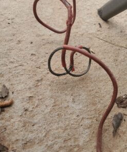 BV Pet Tie Out Cable for Dogs Up to 125 Pounds, 30 Feet (Red/ 125lbs/ 30ft) 125lbs/ 30ft/ Red 32 81hmf63M1DL