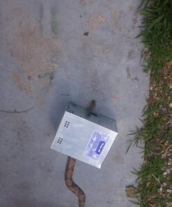 Ketch-All Mousetrap w/ Clear Lid 25 81hnj55gVGL