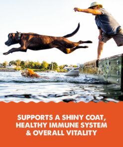 Grizzly Wild Alaskan Salmon Oil Dog Food Supplement Omega 3 Fatty Acids, 16 oz 16 ounces Grizzly Salmon Oil for Dogs 23 81hu1N4qRlL 1