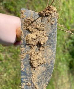 Japanese Weeding Sickle Very Sharp Edge Quick Work (Full Size) 27 81humRvHQUL