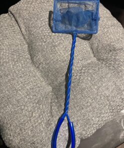 PENN-PLAX Quick-Net Aquarium Fish Nets – Durable, Strong, and Safe – Color May Vary (Blue or Green) 4" Net 28 81hvPAXA4L