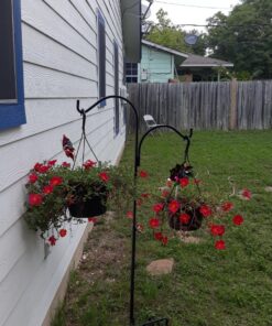 Ashman Shepherds Hook 65 Inch Two Sided Shepherd Hook, 1/2 Inch Thick, Super Strong, Rust Resistant Steel Hook Ideal for Use for Hanging Plant Baskets, Bird Feeders, and Weddings Pack of 1 27 81hvX5kA SL